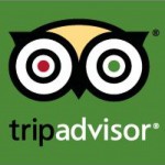 TripAdvisor-Icon